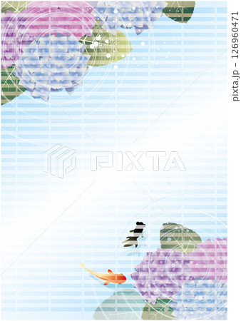 夏の梅雨の紫陽花風景 126960471