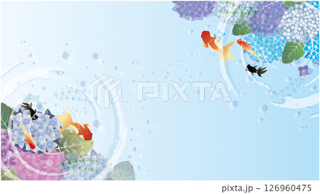 夏の梅雨の紫陽花風景 夏の梅雨の紫陽花風景 126960475