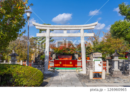 秋の京都　車折神社　大鳥居から本殿まで 126960965