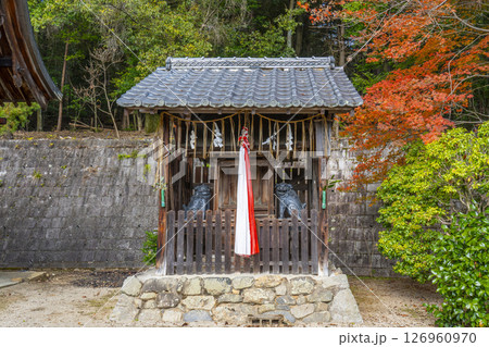 秋の京都　紅葉が美しい石座神社　一言神社　社殿 126960970