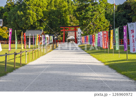 上賀茂神社 一の鳥居から二の鳥居までの参道(京都市北区上賀茂本山) 上賀茂神社 一の鳥居から二の鳥居までの参道(京都市北区上賀茂本山) 126960972