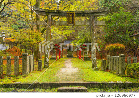 比叡山延暦寺西塔　箕淵弁財天　紅葉の季節 126960977