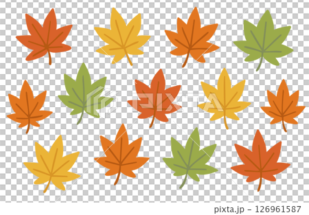Maple leaves, autumn leaves set 126961587