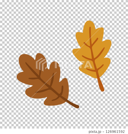 Fallen leaves, autumn leaves, leaves, autumn materials 126961592