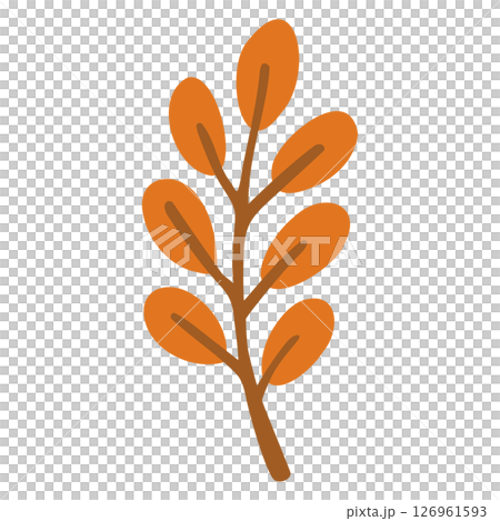 Fallen leaves, autumn leaves, leaves, autumn materials 126961593