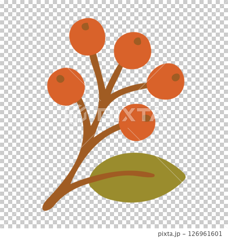 南天のイラスト　秋の素材 126961601