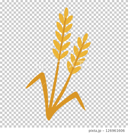 小麥插畫，穀物，收穫，秋收 126961606