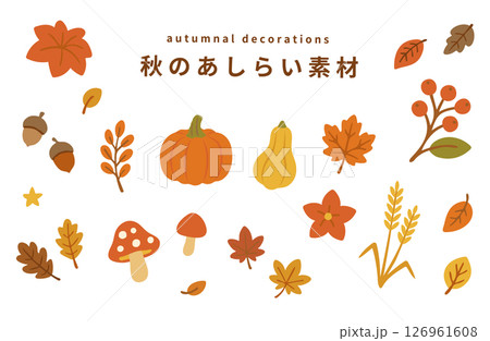 秋のあしらい素材 セット 秋のあしらい素材 セット 126961608