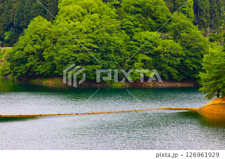 青蓮寺湖(三重県名張市) 青蓮寺湖(三重県名張市) 126961929
