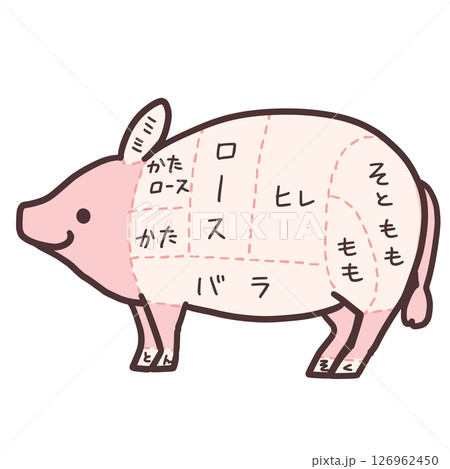 豚肉部位のイラスト 豚肉部位のイラスト 126962450