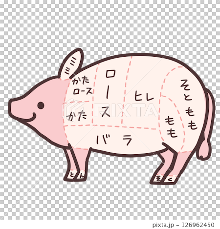 Illustration of pork parts 126962450