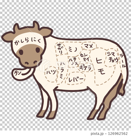 牛內臟插圖 牛內臟插圖 126962562
