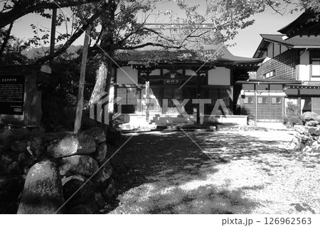 オオタザクラ 塩釜桜 本覚寺 荻町合掌造り集落 世界文化遺産 白川郷 茅葺 オオタザクラ 塩釜桜 本覚寺 荻町合掌造り集落 世界文化遺産 白川郷 茅葺 126962563