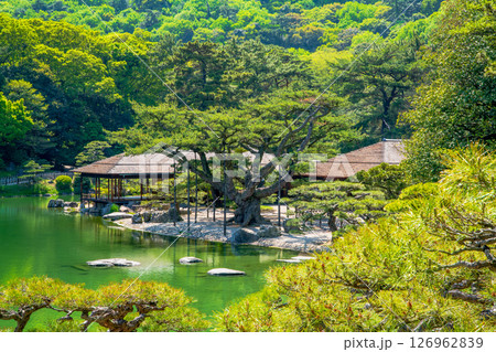 香川県　栗林公園 126962839