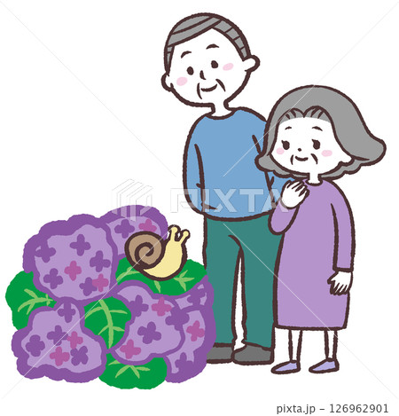 紫陽花を見る高齢夫婦のイラスト 紫陽花を見る高齢夫婦のイラスト 126962901