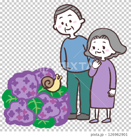 紫陽花を見る高齢夫婦のイラスト 紫陽花を見る高齢夫婦のイラスト 126962901