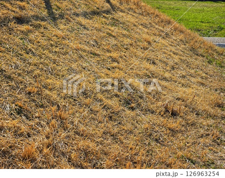 公園の地面 126963254