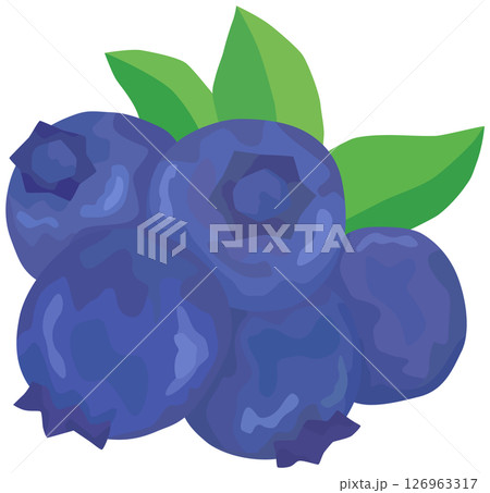 ブルーベリーのイラスト ベクター素材 ブルーベリーのイラスト ベクター素材 126963317