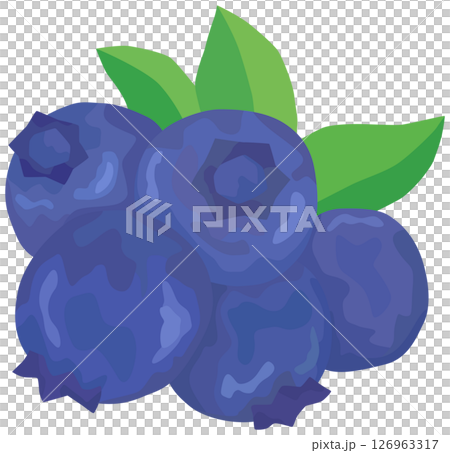 ブルーベリーのイラスト ベクター素材 ブルーベリーのイラスト ベクター素材 126963317