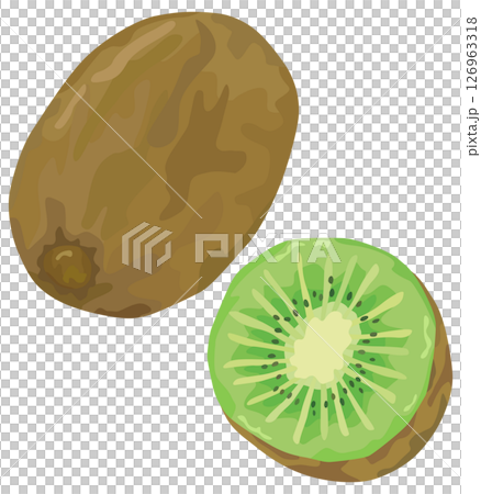 キウイのイラスト ベクター素材 126963318