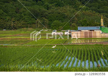 箕輪耕地の農村風景 初夏の原風景 箕輪耕地の農村風景 初夏の原風景 126963556