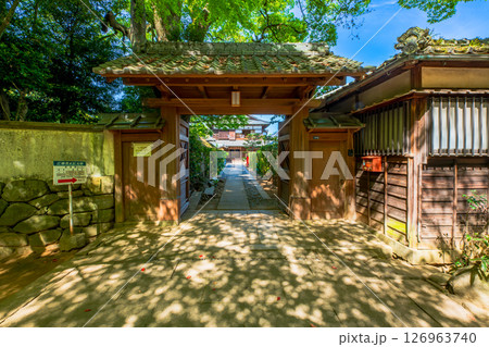 愛媛県　広瀬歴史記念館　旧広瀬邸 126963740