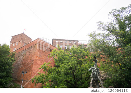 ポーランド・クラクフのヴァヴェル城 126964118