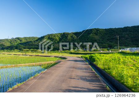 箕輪耕地の農村風景 愛川町の田園 箕輪耕地の農村風景 愛川町の田園 126964236