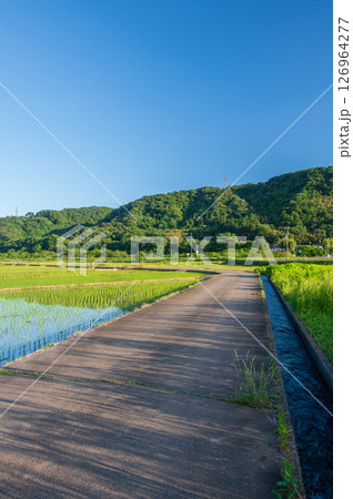 箕輪耕地の田園　水田の風景　農村風景 126964277