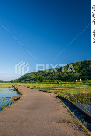 箕輪耕地の田園 水田の風景 農村風景 箕輪耕地の田園 水田の風景 農村風景 126964285