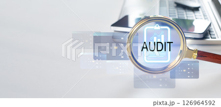 Concept of auditing the company's accounts 126964592