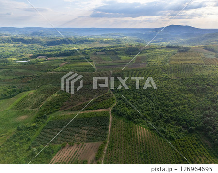 Aerial view of agricultural land. Valley of fruit farms Aerial view of agricultural land. Valley of fruit farms 126964695