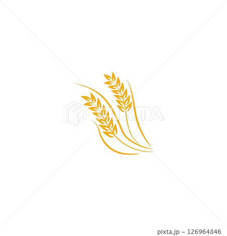 Agriculture Wheat logo template vector icon design 126964846
