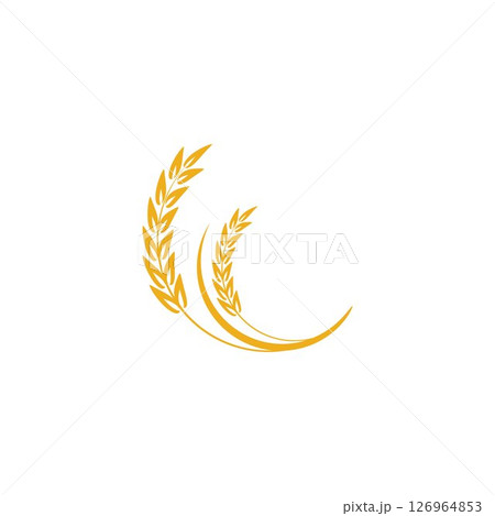 Agriculture Wheat logo template vector icon design Agriculture Wheat logo template vector icon design 126964853