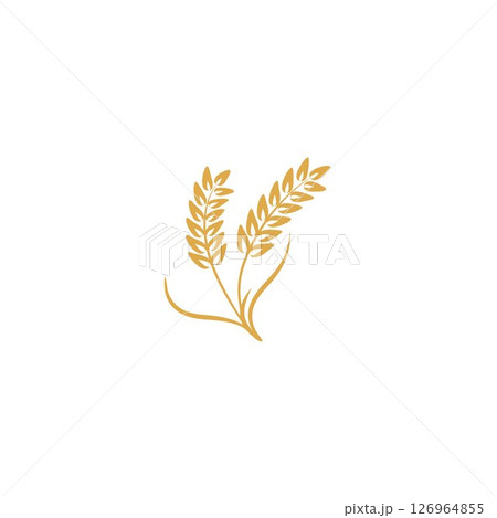 Agriculture Wheat logo template vector icon design 126964855