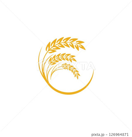Agriculture Wheat logo template vector icon design 126964871