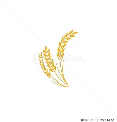 Agriculture Wheat logo template vector icon design 126964872