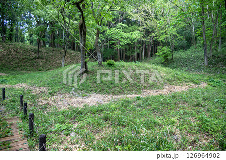 滝山城　弁天池跡に残る中の島 126964902