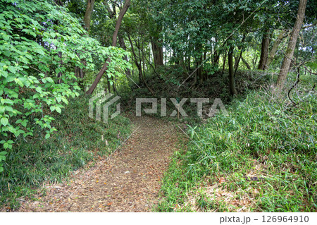 滝山城跡　主郭南側虎口 126964910