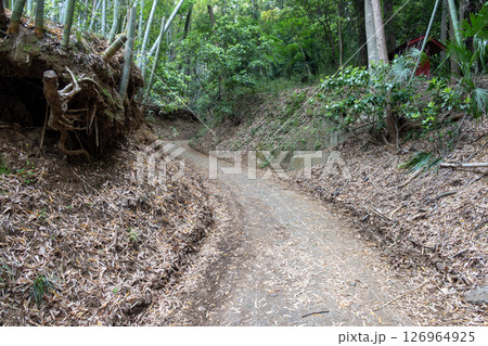 滝山城　大手道 126964925
