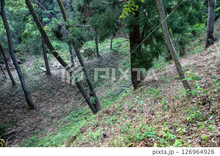 滝山城　三の丸周囲の空堀 126964926