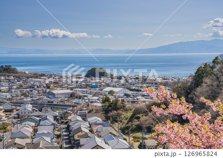 静岡市の由比八千代桜と由比の街並み(静岡県) 静岡市の由比八千代桜と由比の街並み(静岡県) 126965824