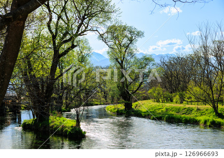 【長野県】安曇野　大王わさび農場 126966693
