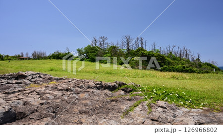 七ツ釜 七ツ釜園地 屋形石の七ツ釜 (佐賀県) 七ツ釜 七ツ釜園地 屋形石の七ツ釜 (佐賀県) 126966802