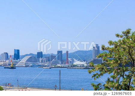 初夏の神戸の街並み (兵庫県神戸市中央区) 126967603