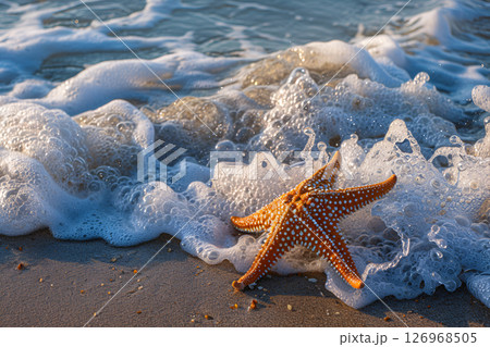 Sea star or sea starfish on the beach 126968505