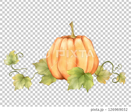 Hand-drawn Orange Pumpkin illustration with Leaves 126969032