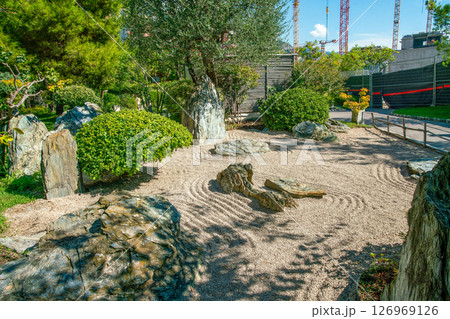 Rock garden  (variety)   in  Japanese garden in Monaco (Monte Carlo district) 126969126