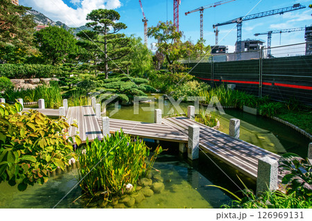 Rock garden  (variety)   in  Japanese garden in Monaco (Monte Carlo district) 126969131