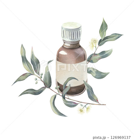 Eucalyptus branches with leaves, shoots and buds, glass bottle of essential oil with blank label, watercolor isolated on white. Botanical illustration of medicinal herbs hand drawn for aromatherapy Eucalyptus branches with leaves, shoots and buds, glass bottle of essential oil with blank label, watercolor isolated on white. Botanical illustration of medicinal herbs hand drawn for aromatherapy 126969137